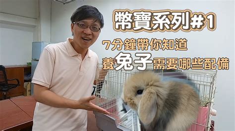 鍾道 家裡養兔子好嗎
